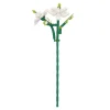 Outlet NANU-NANA Bausteine-Set 3D, Jasmin, 32 Cm