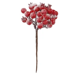 Outlet NANU-NANA Beeren-Bündel, Rot