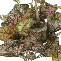 Outlet NANU-NANA Busch Buntnessel, Rosa/grün, 27 Cm