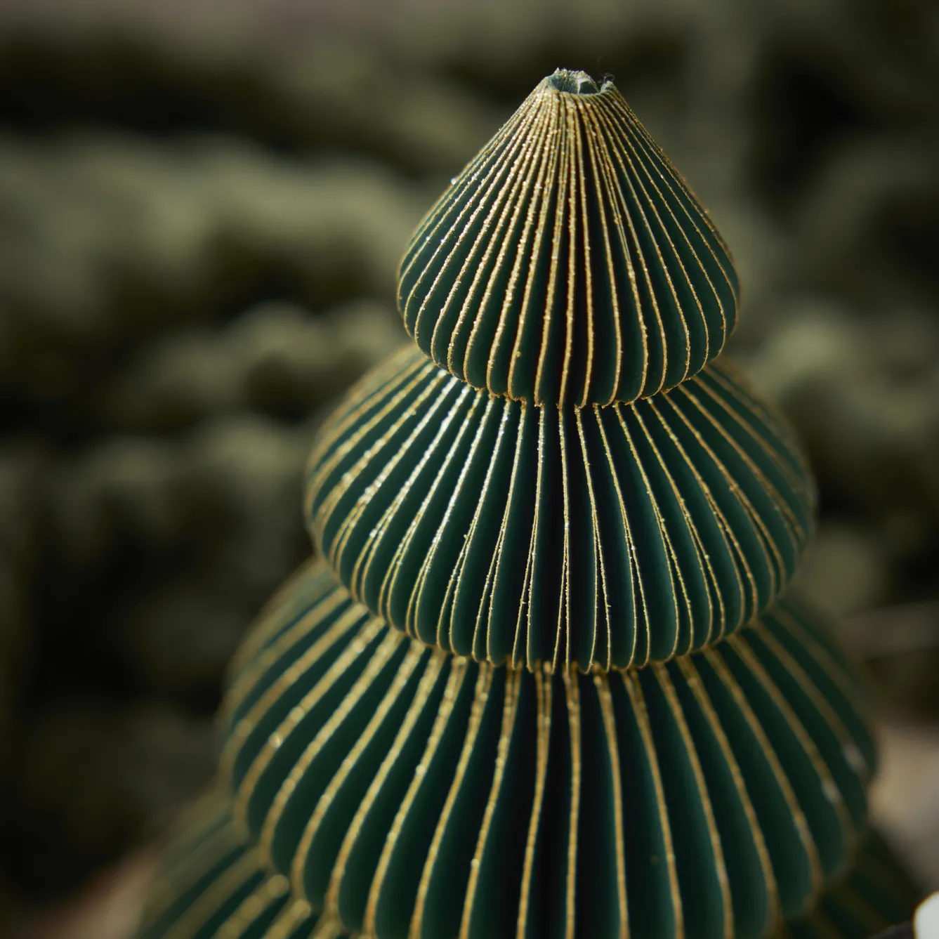 Sale NANU-NANA Deko-Baum Wabe, Dunkelgrün/4 Stufen, 15 Cm