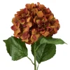 New NANU-NANA Hortensie Antik, Braun, 70 Cm
