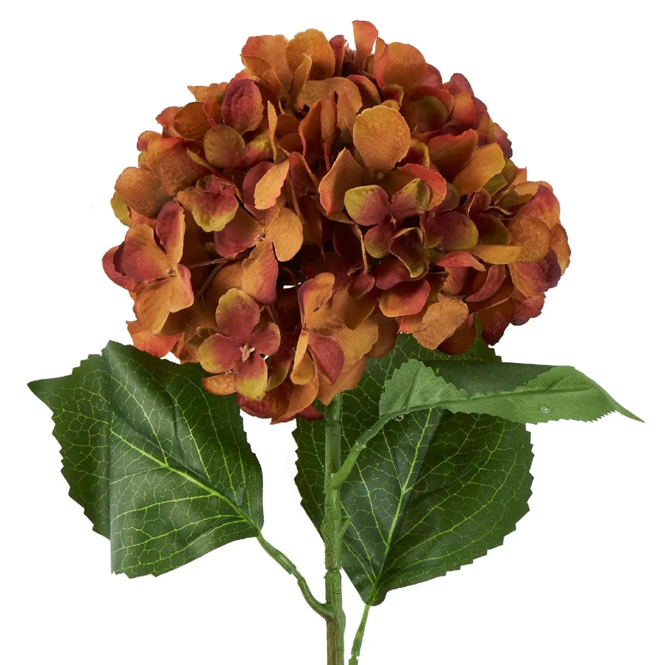 New NANU-NANA Hortensie Antik, Braun, 70 Cm