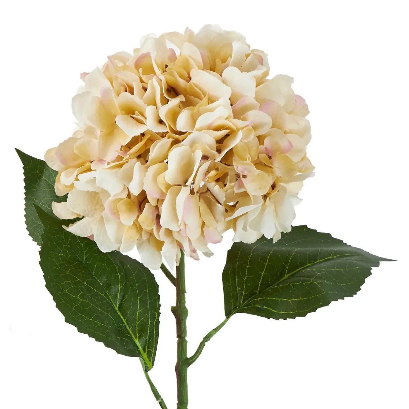 Outlet NANU-NANA Hortensie Antik, Creme, 70 Cm