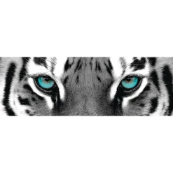 Sale NANU-NANA Jumboposter Blue Tiger Eyes, Nr. 16