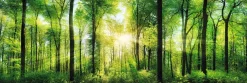 Sale NANU-NANA Jumboposter Bright Summer Forest, Nr. 31