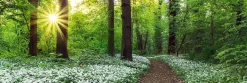 Clearance NANU-NANA Jumboposter Spring Forest, Nr. 7