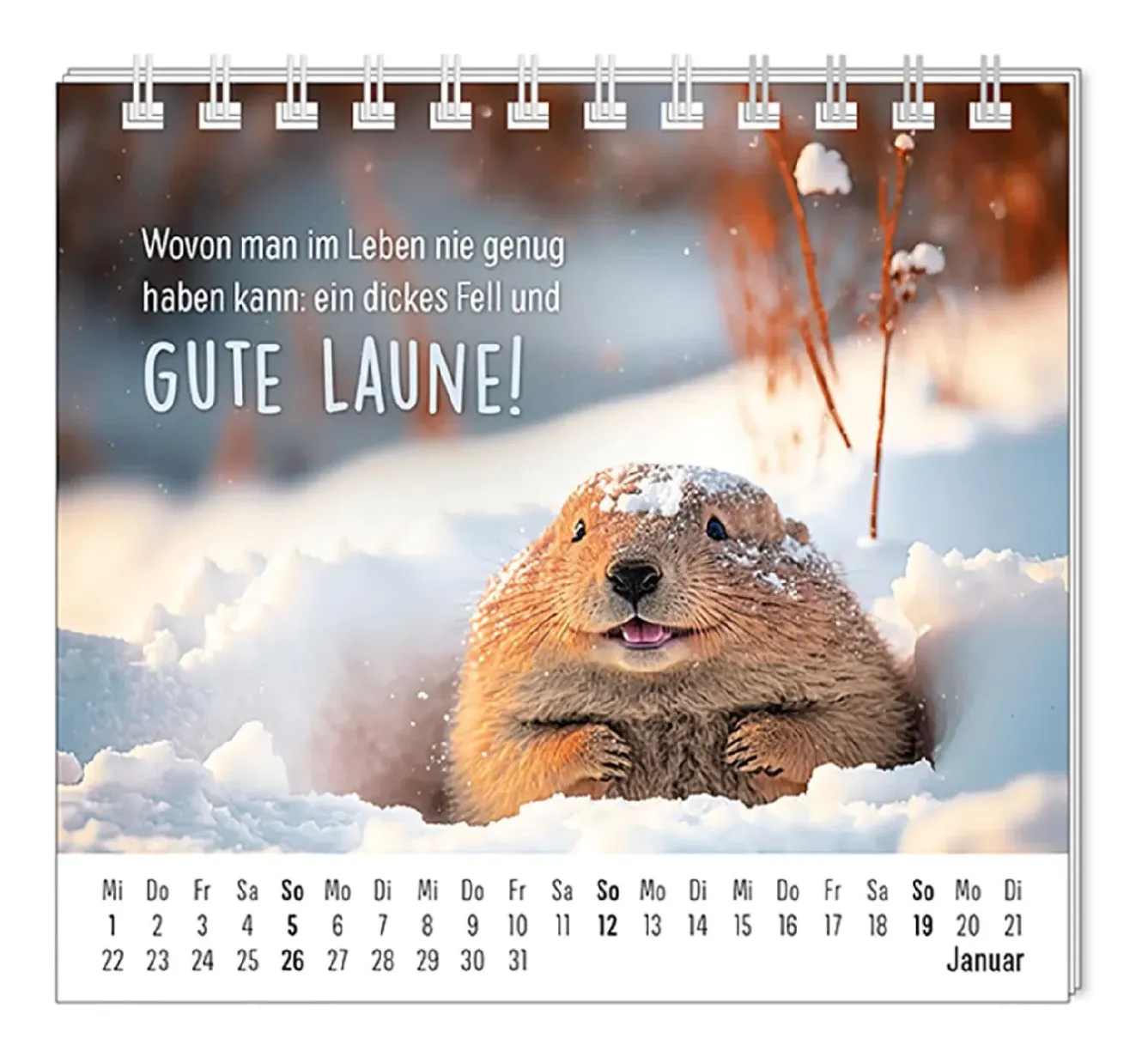 Best NANU-NANA Mini-Tischkalender 2025, Happymacher