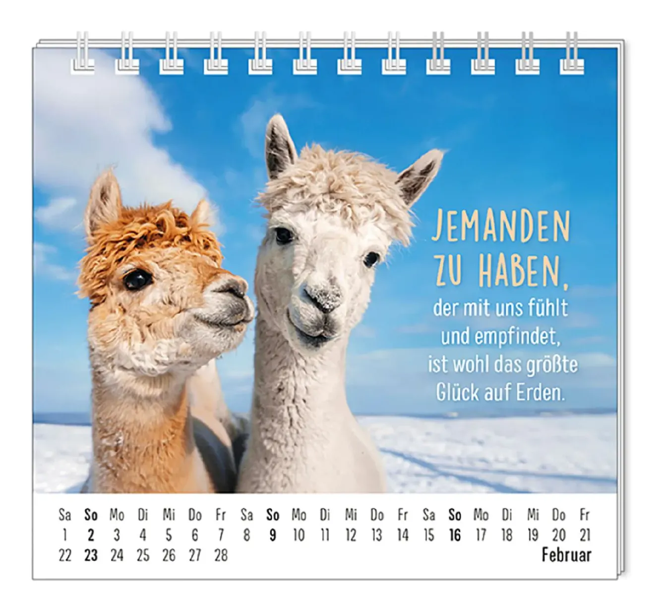Best NANU-NANA Mini-Tischkalender 2025, Happymacher