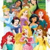 Online NANU-NANA Poster Disney Princess, Nr. 162