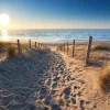 Outlet NANU-NANA Poster Dune Path, Nr. 88