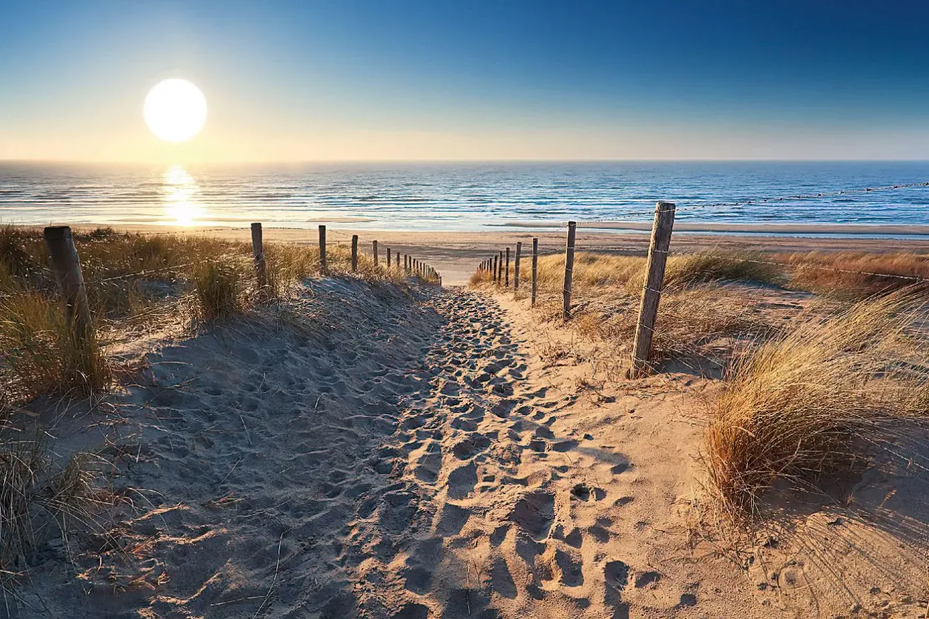 Outlet NANU-NANA Poster Dune Path, Nr. 88