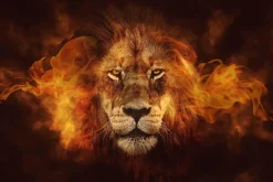 Fashion NANU-NANA Poster Flaming Lion, Nr. 98