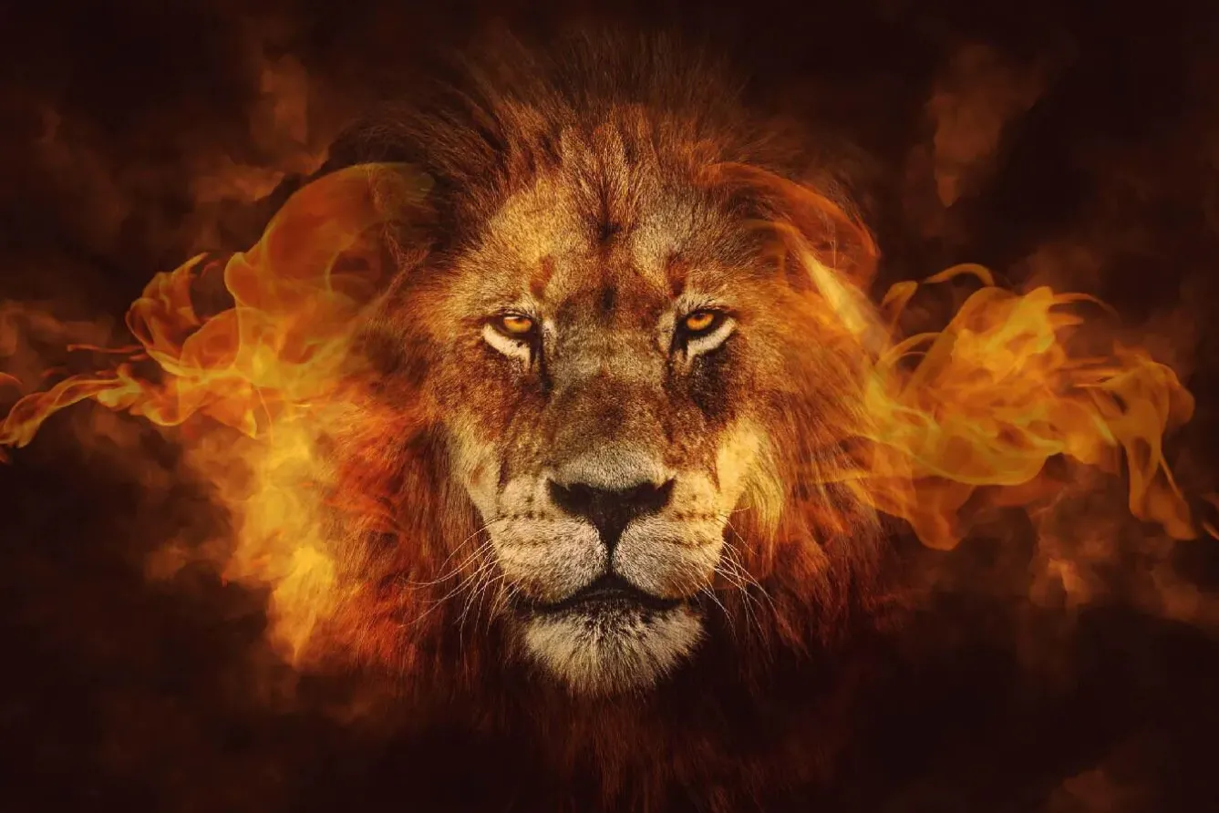 Fashion NANU-NANA Poster Flaming Lion, Nr. 98