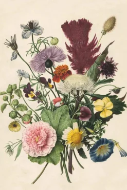 Hot NANU-NANA Poster Flower Bouquet, Nr. 33
