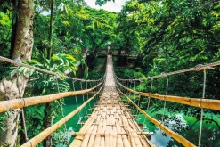 Sale NANU-NANA Poster Jungle Bridge, Nr. 117