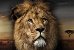 Hot NANU-NANA Poster Lion Design, Nr. 188