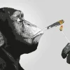 Outlet NANU-NANA Poster Monkey Joint Time, Nr. 226