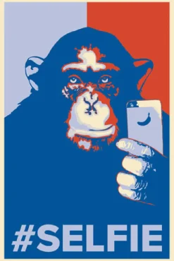 Outlet NANU-NANA Poster Selfie Monkey, Nr. 199