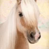 Clearance NANU-NANA Poster Sweet Horse, Nr. 198
