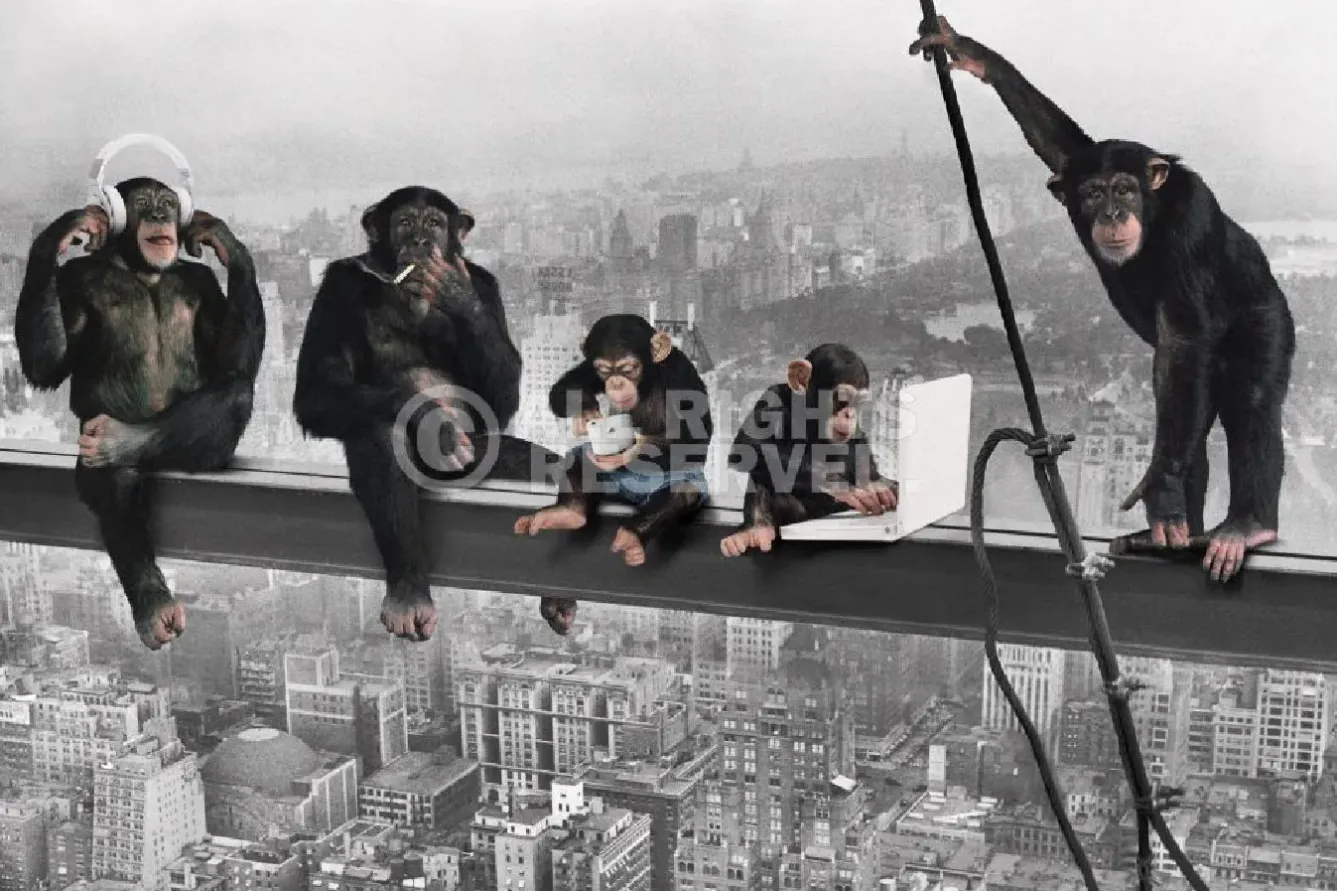 Sale NANU-NANA Poster The Chimp - Girder, Nr. 166