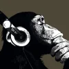 Discount NANU-NANA Poster The Chimp - Stereo, Nr. 155