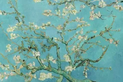Online NANU-NANA Poster Van Gogh Amandelbloesem, Nr. 71