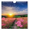 New NANU-NANA Postkarten Kalender, 2025, Lichtblicke