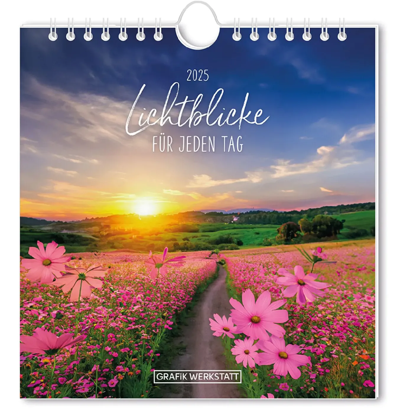 New NANU-NANA Postkarten Kalender, 2025, Lichtblicke