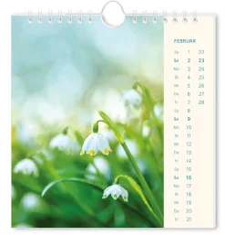New NANU-NANA Postkarten Kalender, 2025, Lichtblicke