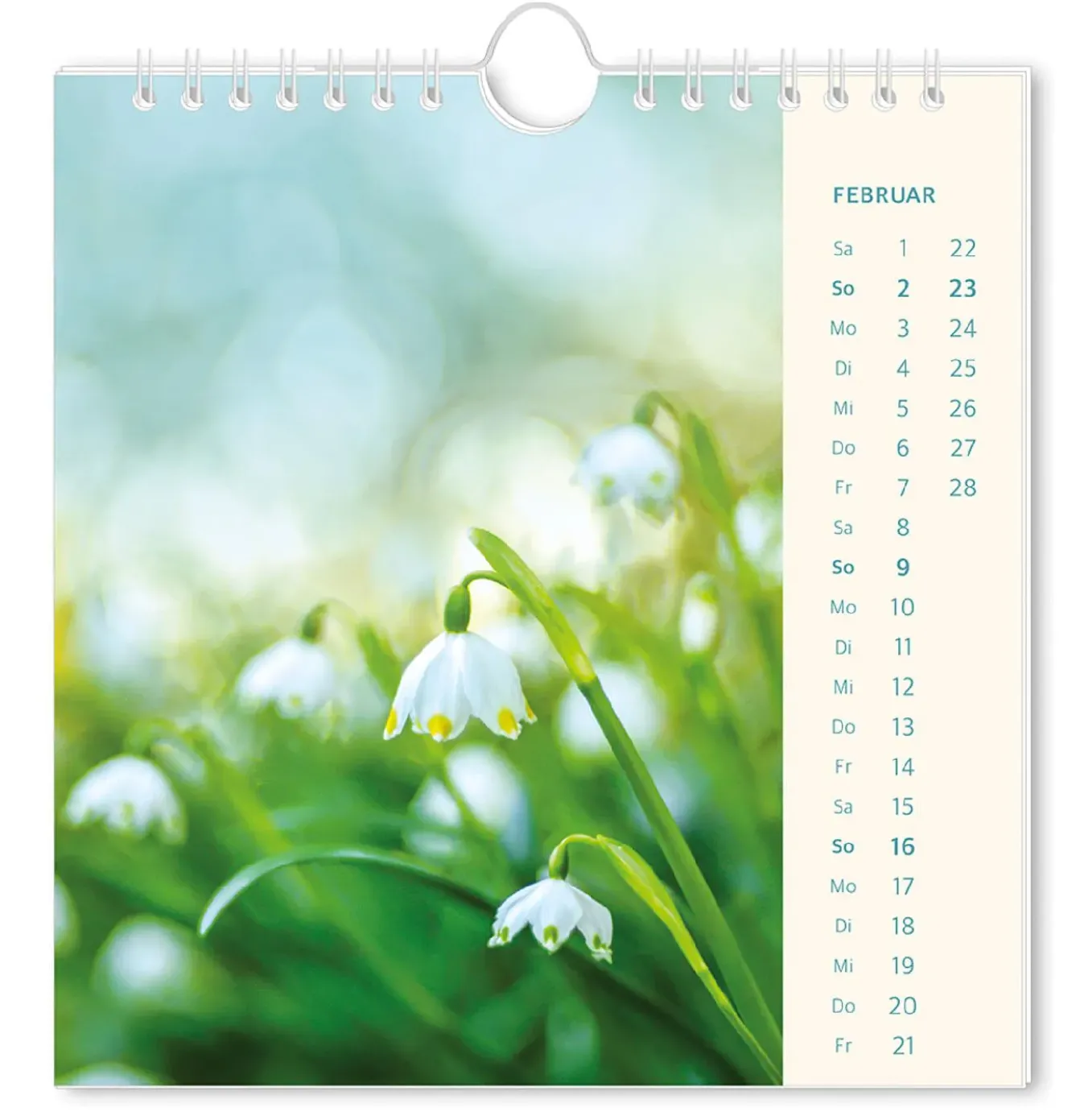 New NANU-NANA Postkarten Kalender, 2025, Lichtblicke