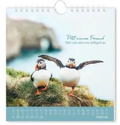 Outlet NANU-NANA Postkarten Kalender, 2025, Strandgut