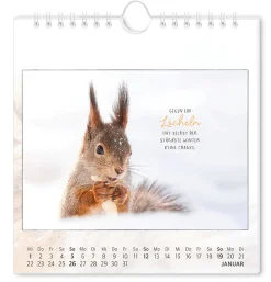 New NANU-NANA Postkarten Kalender, 2025,Traumtage