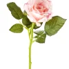 Outlet NANU-NANA Rose, 30 Cm, Apricot