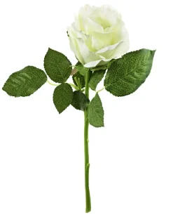 Online NANU-NANA Rose, 30 Cm, Weiß