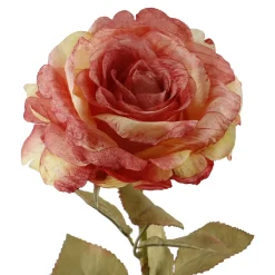 Fashion NANU-NANA Rose Theresa, Orange, 63 Cm