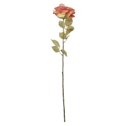Fashion NANU-NANA Rose Theresa, Orange, 63 Cm
