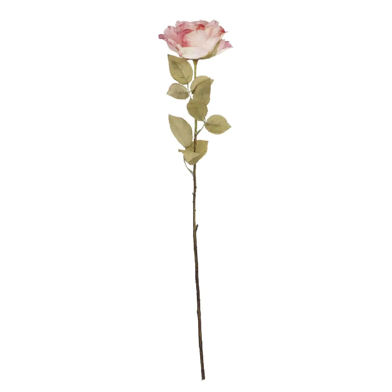 New NANU-NANA Rose Theresa, Rosa, 63 Cm