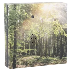 Sale NANU-NANA Soundbox Bewegungssensor, Wald, 12 Cm