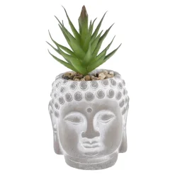 Fashion NANU-NANA Sukkulente Buddhakopf, Grün/spitz, 15 Cm