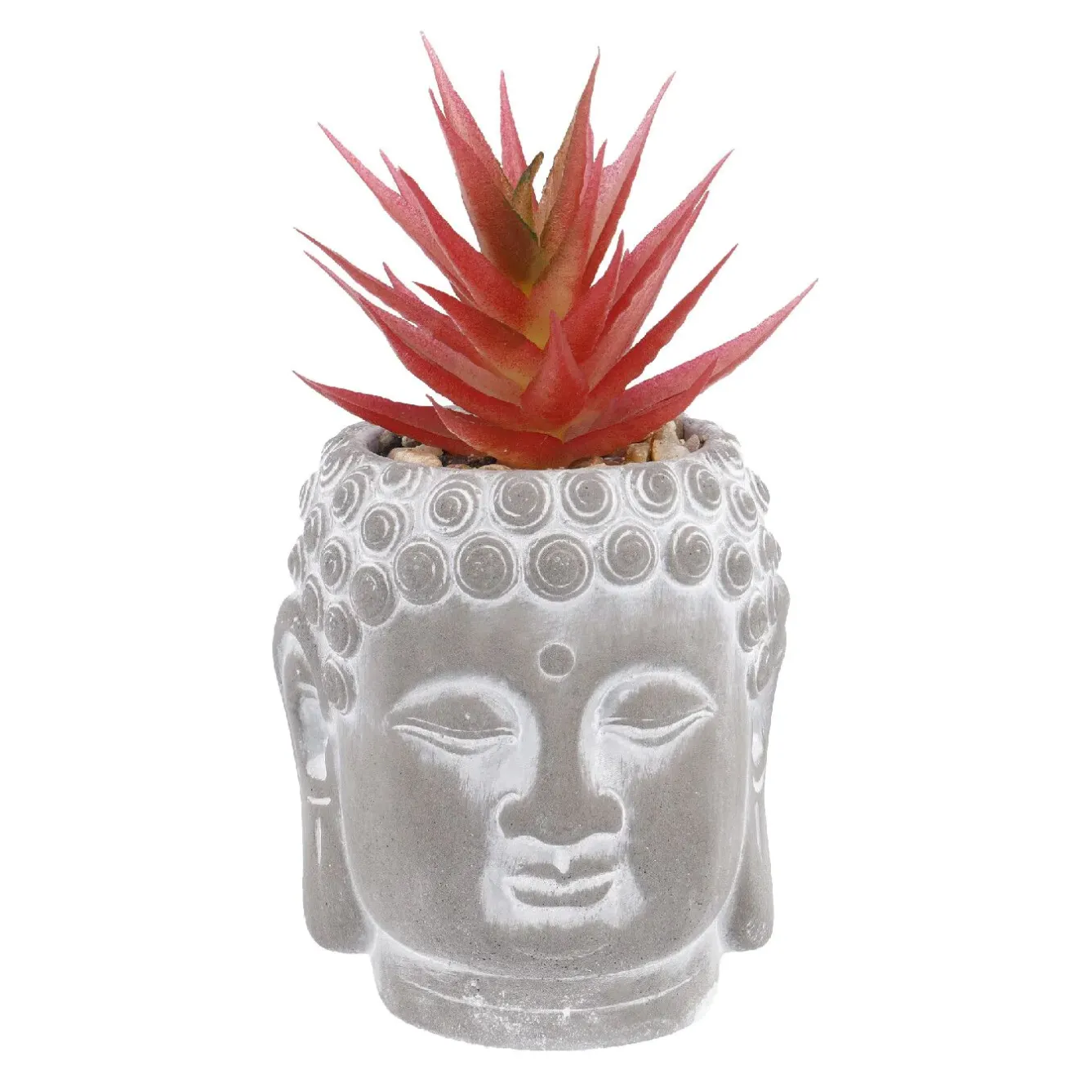 Sale NANU-NANA Sukkulente Buddhakopf, Rot/spitz, 15 Cm