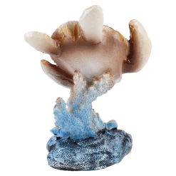 Sale NANU-NANA Tier See, Schildkröte/braun, Glänzend, 6 X 8 Cm
