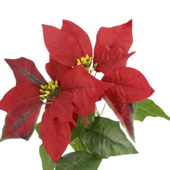 Best NANU-NANA Weihnachtsstern 2 Blüten/rot, 31 Cm